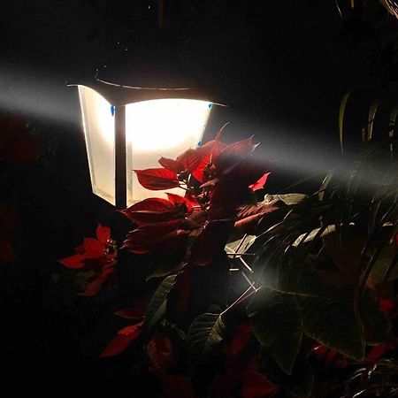 Valecha Villa Entire 4Bhkbunglow With 5000 Sq Ft Garden Lonavala Buitenkant foto