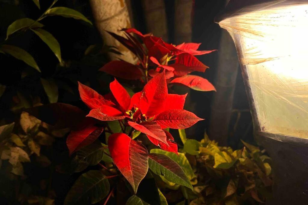 Valecha Villa Entire 4Bhkbunglow With 5000 Sq Ft Garden Lonavala Buitenkant foto
