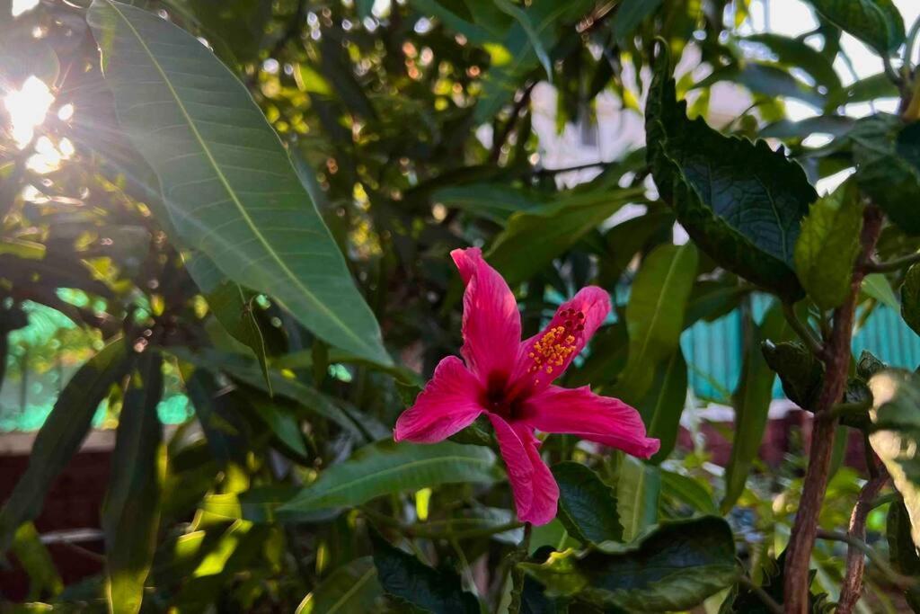 Valecha Villa Entire 4Bhkbunglow With 5000 Sq Ft Garden Lonavala Buitenkant foto